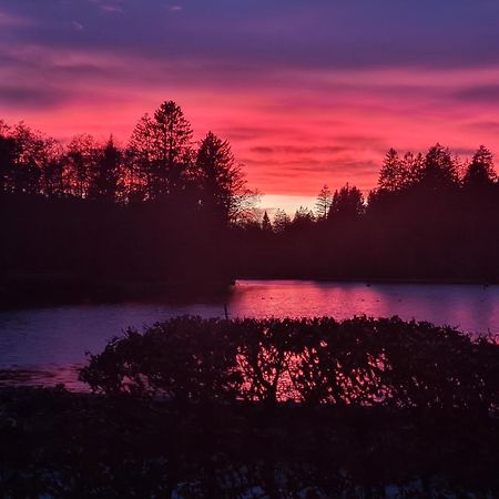 Hotel Waldsee Lindenberg im Allgäu Esterno foto