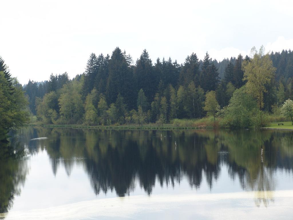 Hotel Waldsee Lindenberg im Allgäu Esterno foto