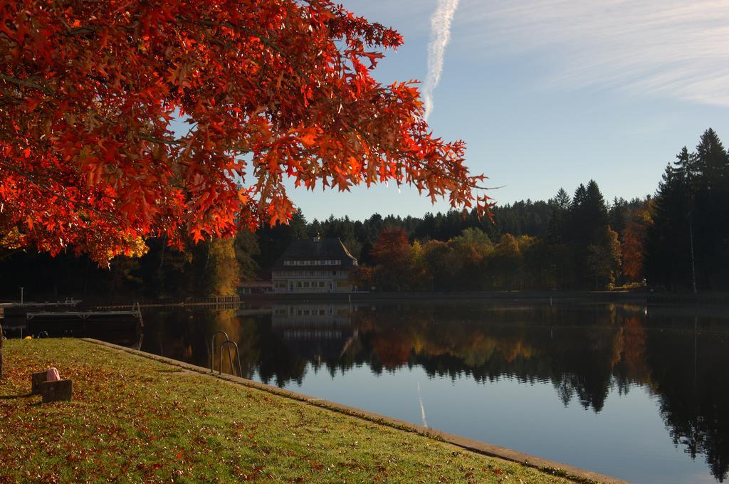 Hotel Waldsee Lindenberg im Allgäu Esterno foto