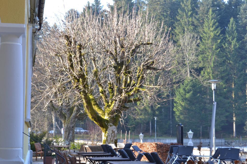 Hotel Waldsee Lindenberg im Allgäu Esterno foto