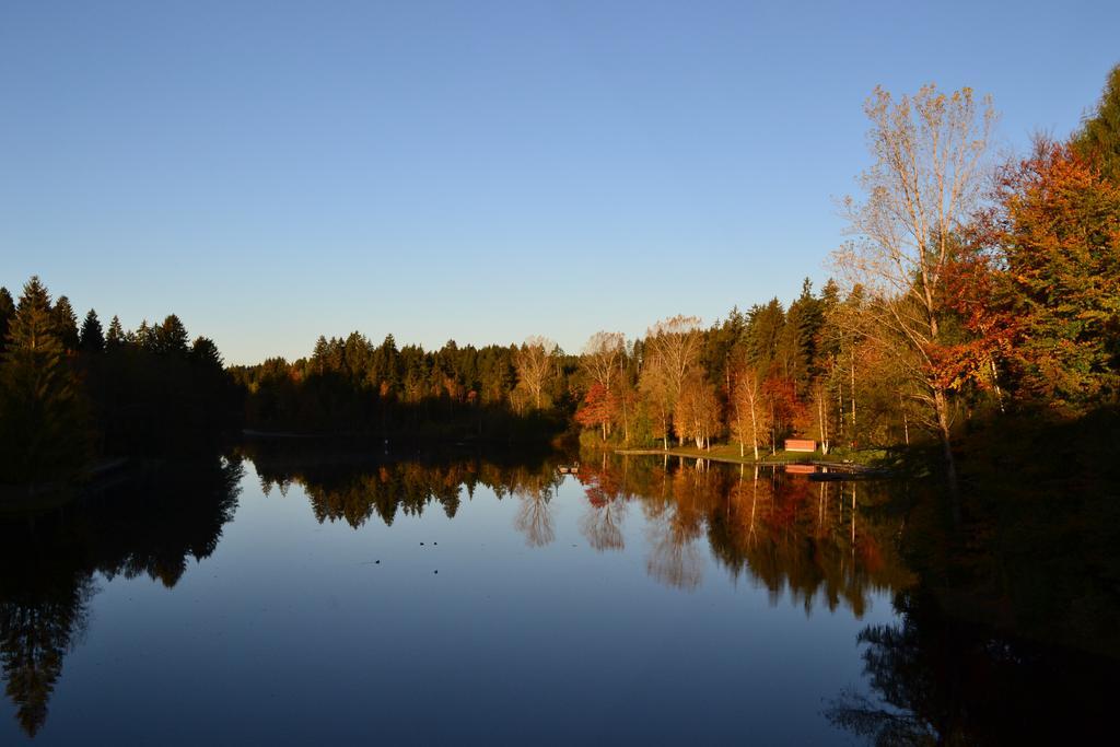 Hotel Waldsee Lindenberg im Allgäu Esterno foto