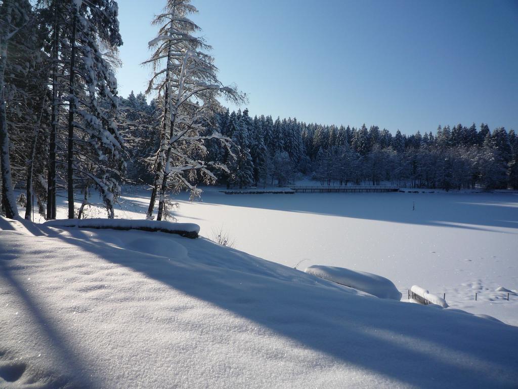 Hotel Waldsee Lindenberg im Allgäu Esterno foto
