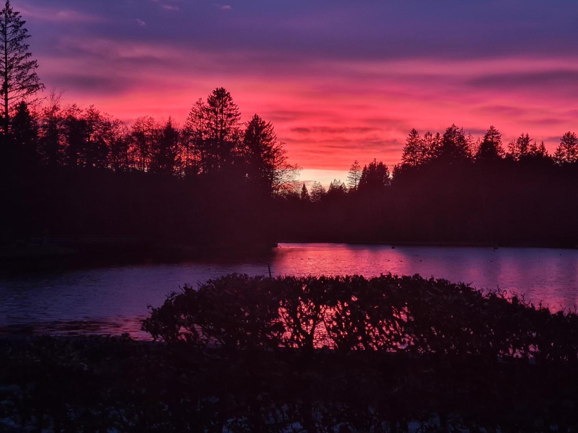 Hotel Waldsee Lindenberg im Allgäu Esterno foto