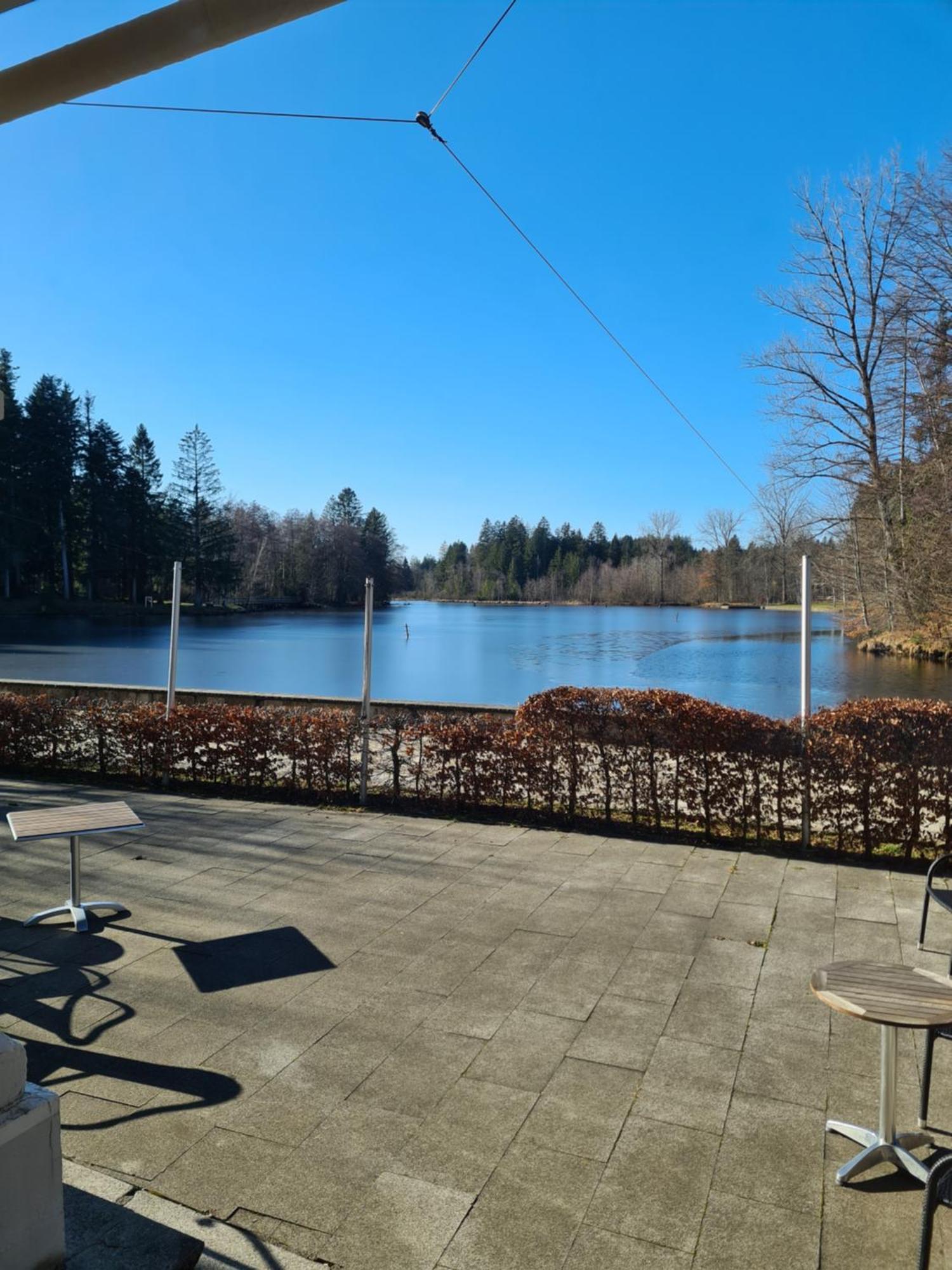 Hotel Waldsee Lindenberg im Allgäu Esterno foto