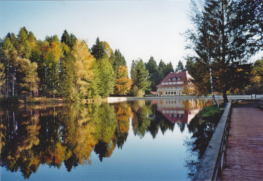 Hotel Waldsee Lindenberg im Allgäu Esterno foto